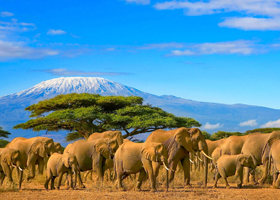 africa
